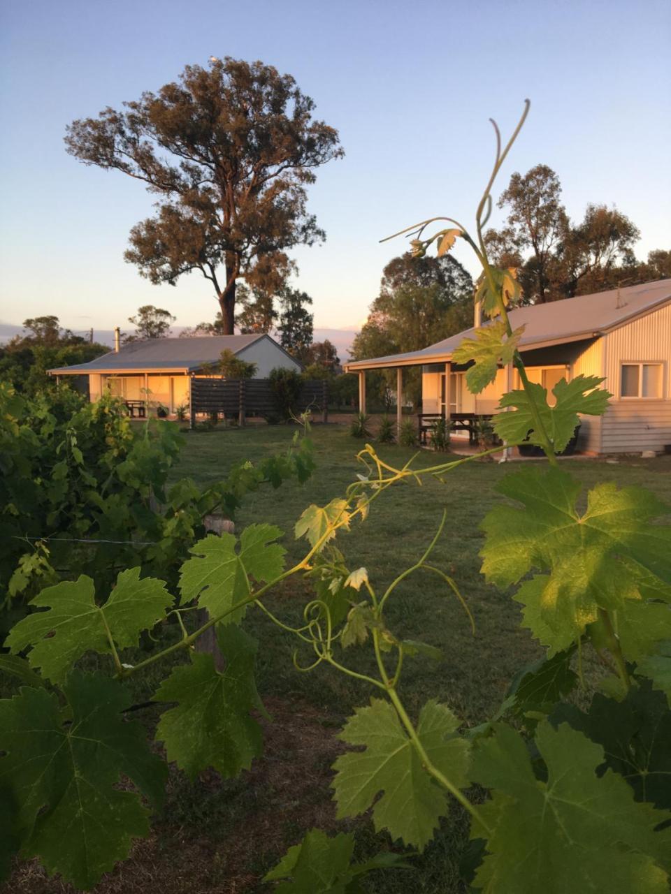 Emma'S Cottage Vineyard Лавдейл Екстер'єр фото