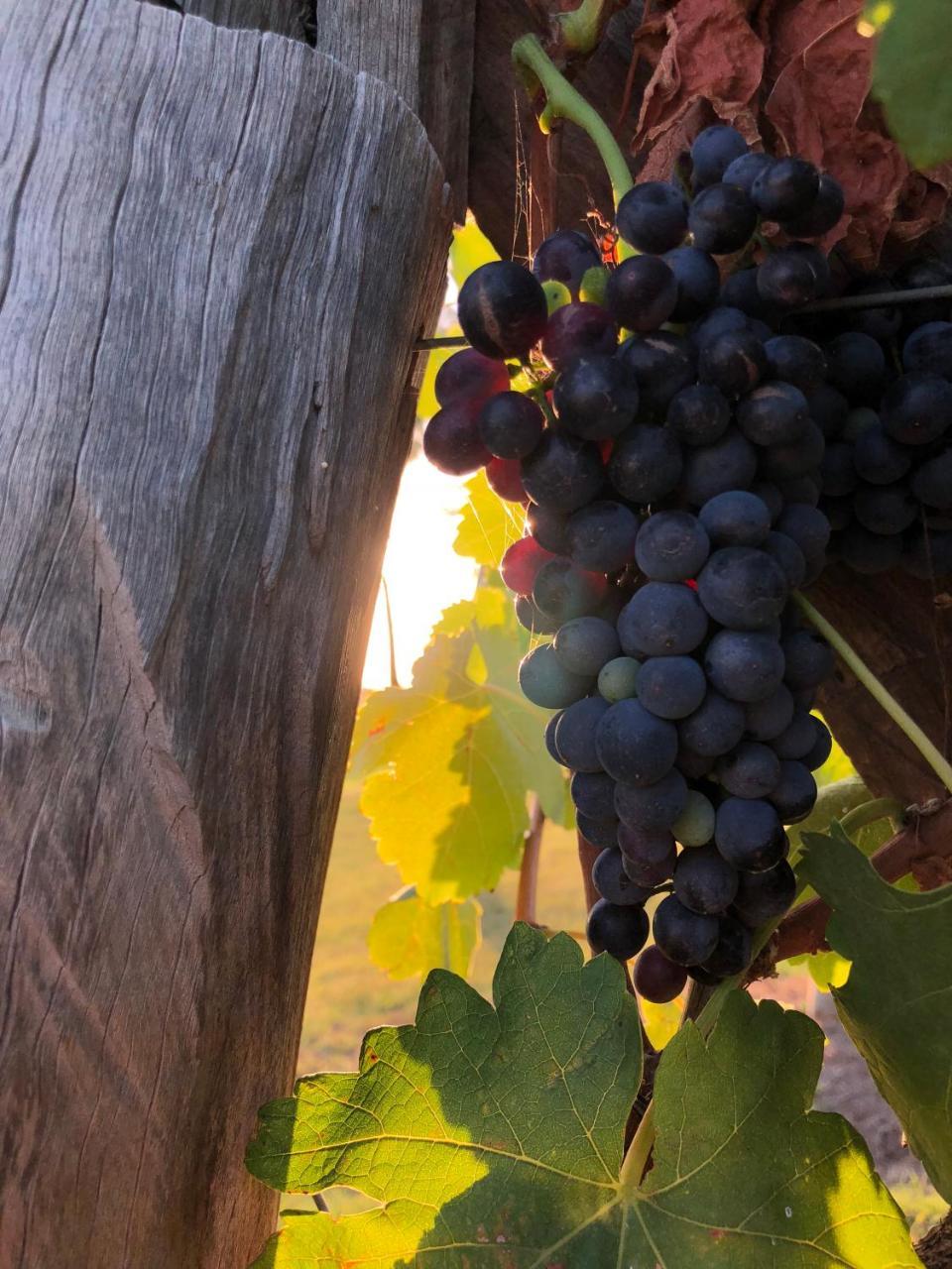Emma'S Cottage Vineyard Лавдейл Екстер'єр фото